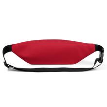 Load image into Gallery viewer, Safety Third Fanny Pack